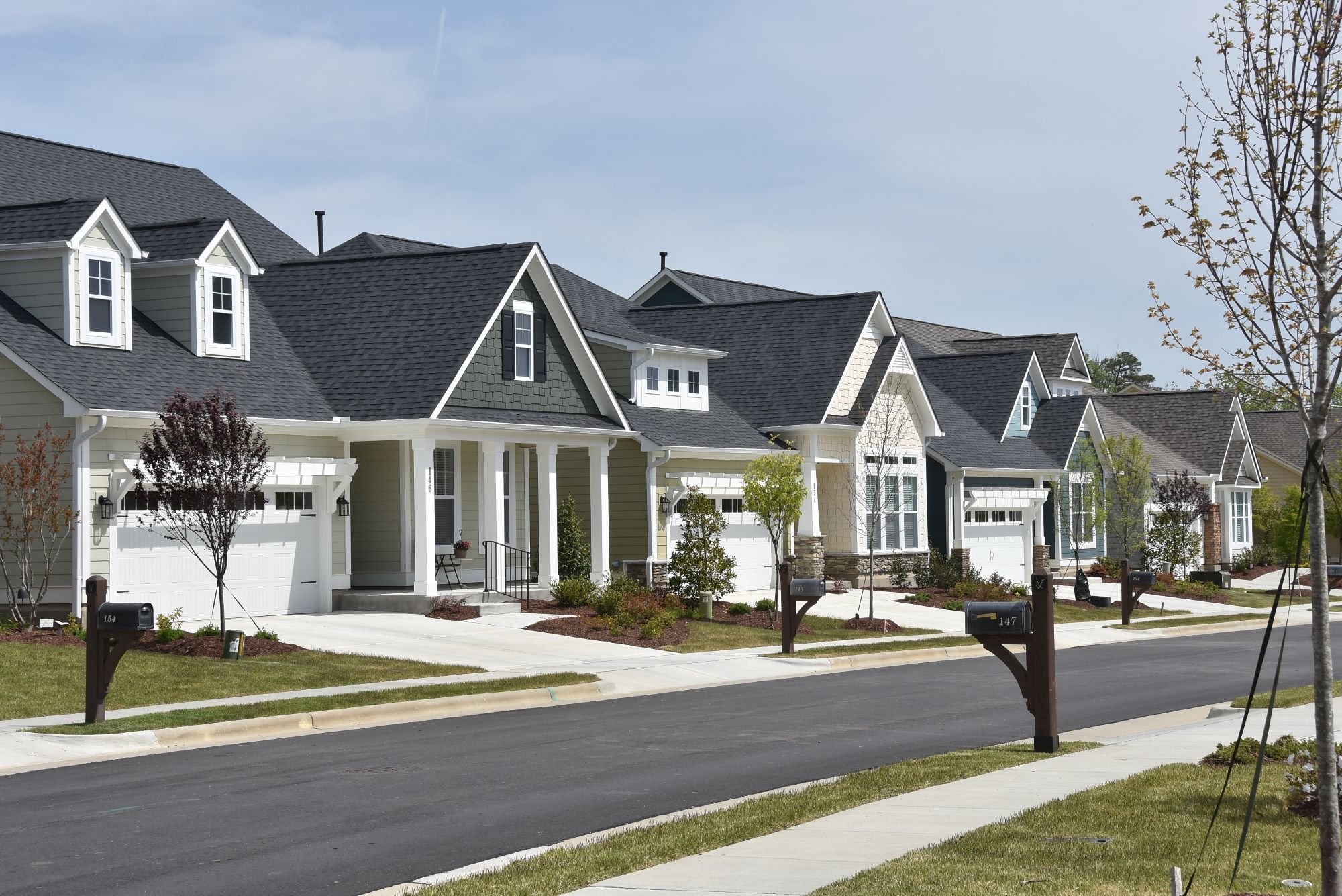 Pros and Cons of Allowing Pets in Your Rental Property